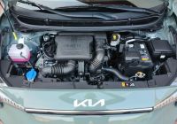 Kia Picanto 1.0 DPI 5MT MY25 L+WIN+A14