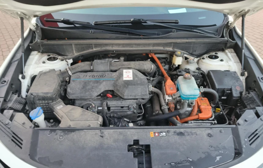 Kia Sorento Rezerwacja/ 1.6 T-GDI 7P XL+PRE+SRF HEV_4WD